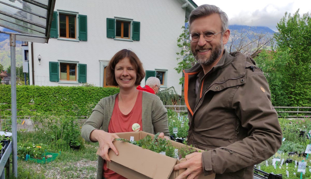 Mitmachen wirkt: Pflanzenaktionen zeigen Erfolg
