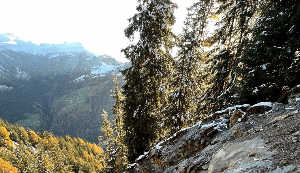 Ersten Erkenntnissen zufolge wurde der Mann von einer abrutschenden Steinplatte erfasst.