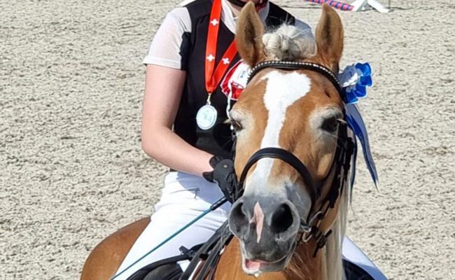 Schweizer Vize-Meistertitel für Laurina Bicker im Springreiten mit Haflingern
