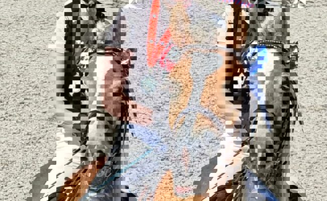 Schweizer Vize-Meistertitel für Laurina Bicker im Springreiten mit Haflingern