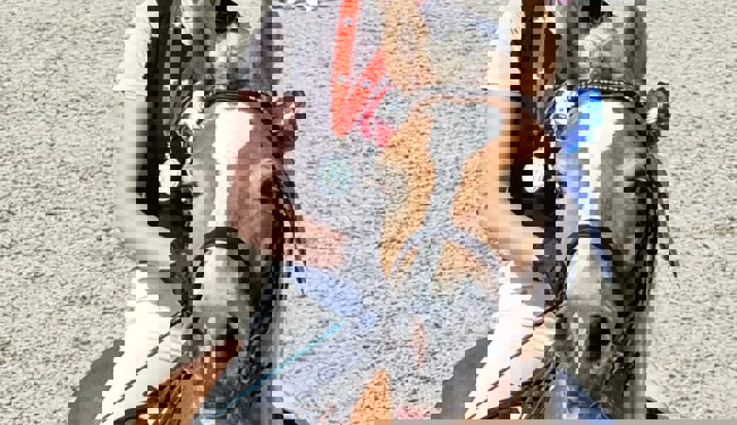 Schweizer Vize-Meistertitel für Laurina Bicker im Springreiten mit Haflingern