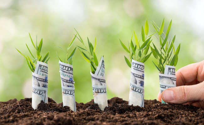 Millionenbetrag für Start-up-Förderung: Auch die W&O-Region könnte profitieren