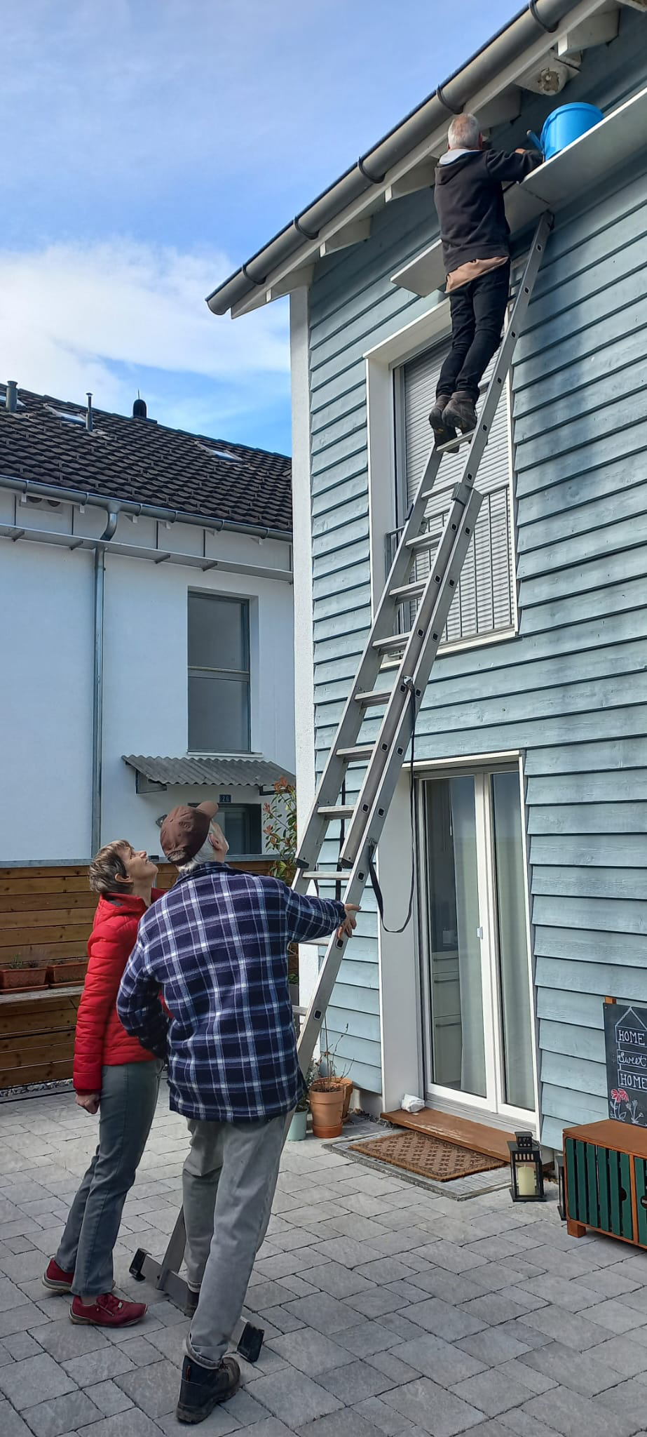 «Wohnungen» renoviert – nun können Schwalben und Segler kommen