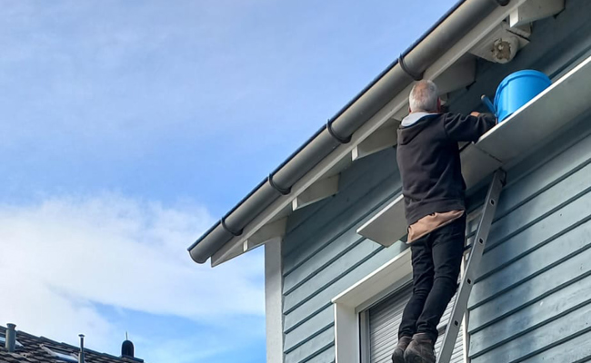 «Wohnungen» renoviert – nun können Schwalben und Segler kommen