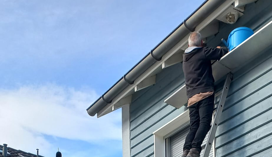 «Wohnungen» renoviert – nun können Schwalben und Segler kommen