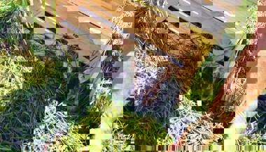 Rehkitzrettung: Kooperation der Landwirte ist entscheidend