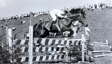 Ein Jahrhundert Pferdesport: Der Reitverein Werdenberg ist 100-jährig