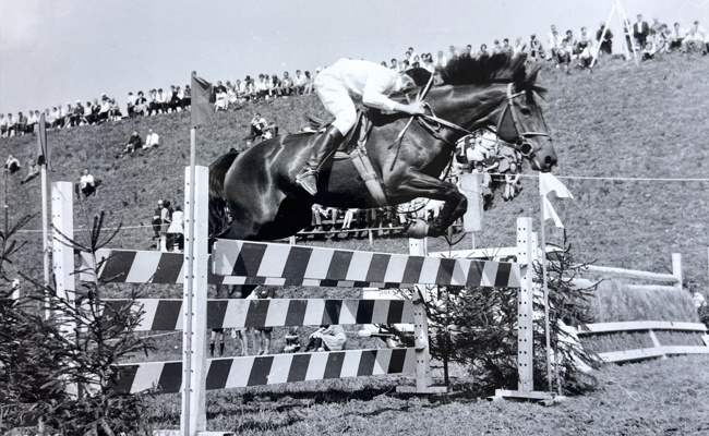 Ein Jahrhundert Pferdesport: Der Reitverein Werdenberg ist 100-jährig