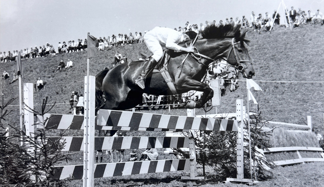 Ein Jahrhundert Pferdesport: Der Reitverein Werdenberg ist 100-jährig