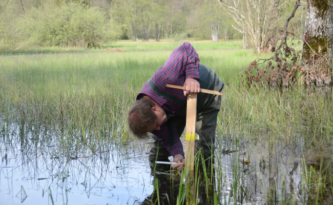 «Bibersee» hält die Ortsgemeinde auf Trab