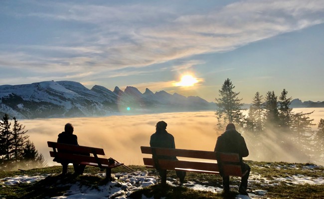 Lösung ist neu – Suppe bleibt: Jetzt sagt die KI, wo es keinen Nebel hat