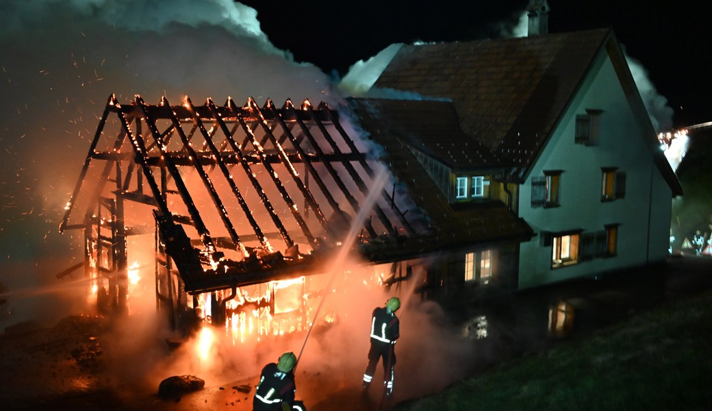 Die Feuerwehr brachte den Brand rasch unter Kontrolle.