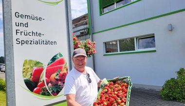 50 Kilogramm bereitgestellt: Zum Ernteschluss gibt es am Sonntag kostenlos Erdbeeren für Kinder