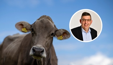 «Für viele Bauern existenzbedrohend»: Das sagt der St.Galler Bauernverband zum Verkaufsverbot von PFAS-Fleisch