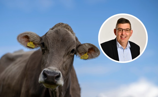 «Für viele Bauern existenzbedrohend»: Das sagt der St.Galler Bauernverband zum Verkaufsverbot von PFAS-Fleisch