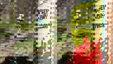 Anhaltende Trockenheit: Die Waldbrandgefahr in der Region ist erheblich