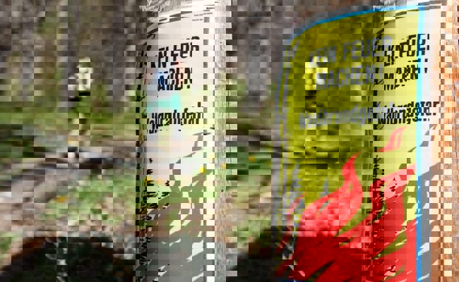 Anhaltende Trockenheit: Die Waldbrandgefahr in der Region ist erheblich