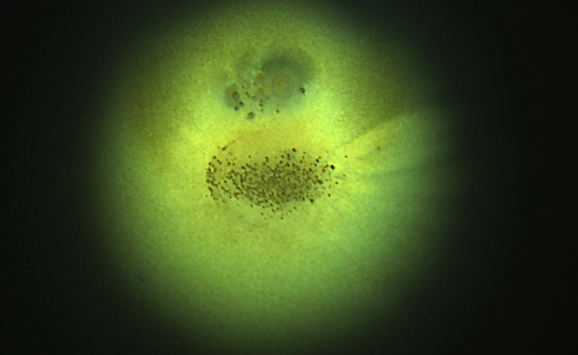 Lösungen für ein Problem suchen: RhySearch initiiert Innosuisse-Projekt mit der Industrie