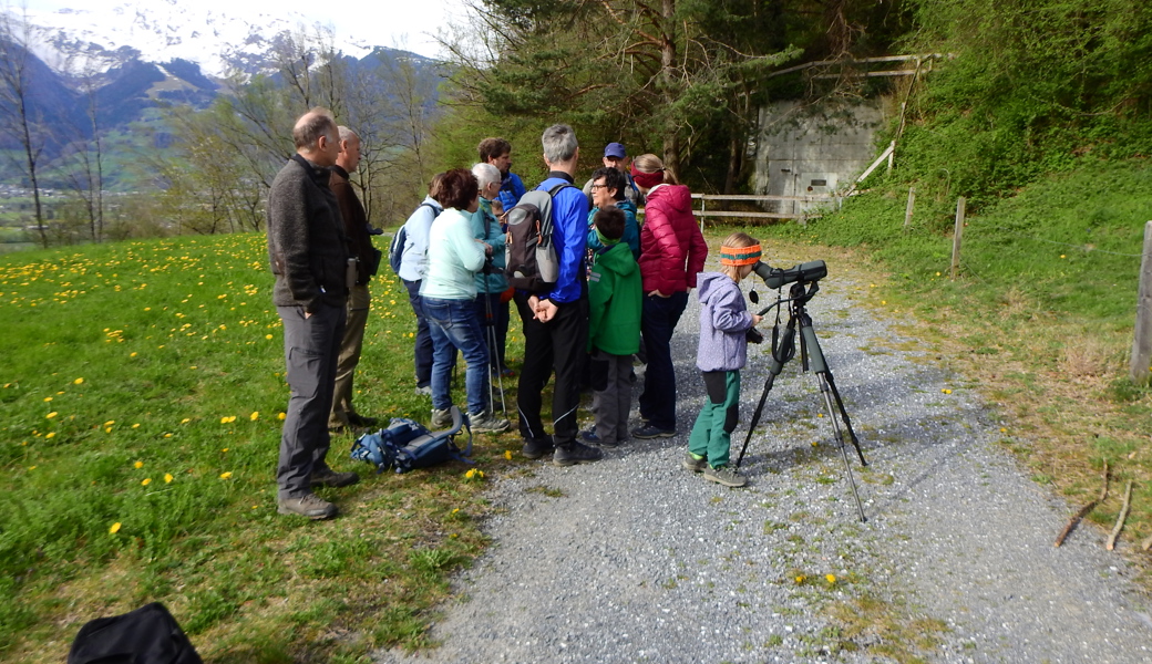 Die Teilnehmenden beobachteten verschiedenste Vögel.