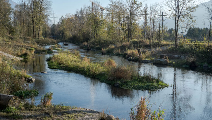  Der Werdenberger Binnenkanal in Sevelen soll dereinst so aussehen wie in Buchs (Bild) - umgelegt, aufgeweitet und revitalisiert.