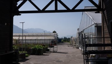 Ein Stück Freiheit in Gefangenschaft: Wie Straftäter in der Anstalt Saxerriet zurück in den Alltag finden