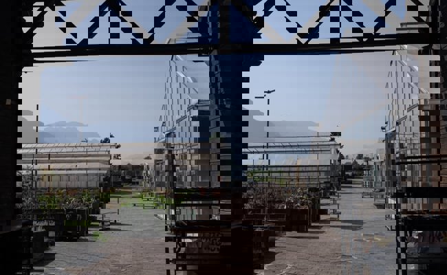 Ein Stück Freiheit in Gefangenschaft: Wie Straftäter in der Anstalt Saxerriet zurück in den Alltag finden