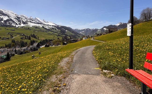 Fitness für alle auf dem Bänkli-Weg