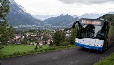 Palfries soll vom öffentlichen Verkehr nicht abgehängt werden