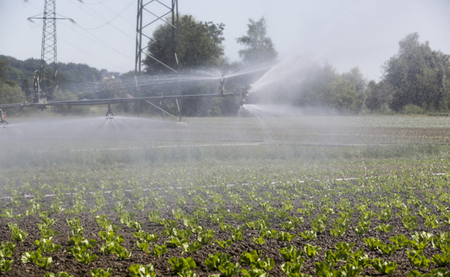 Ortsgemeinde genehmigt an Versammlung die Jahresrechnung 2021 und das Budget 2022