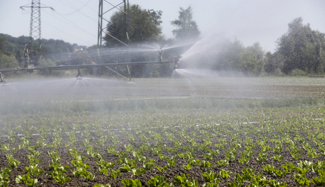  Wassersicherheit: In der Gemeinde Wartau soll bis 2024 ein für die Landwirtschaft enorm wichtiges Projekt realisiert werden. 