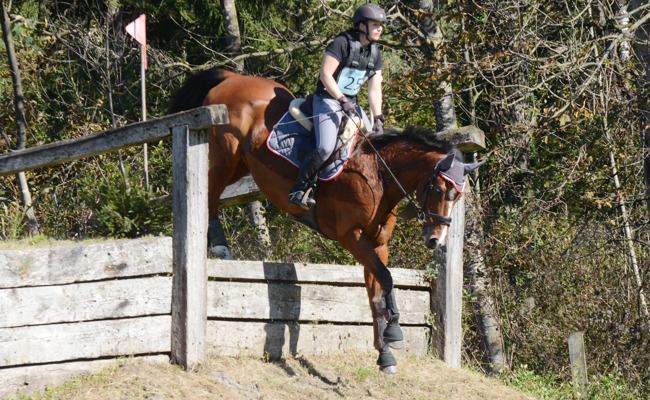 Die Königsdisziplin besticht durch Vielfalt