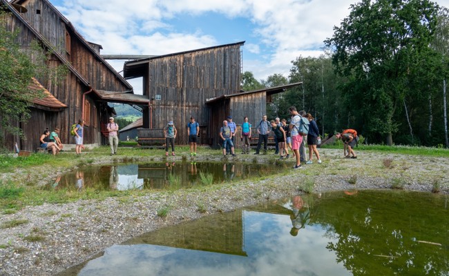 Bei einer Exkursion Biber und Frösche hautnah erleben