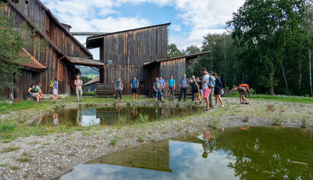 Der Verein Pro Riet bietet beim Naturzentrum Schollenmühle erlebnisreiche Exkursionen an. 