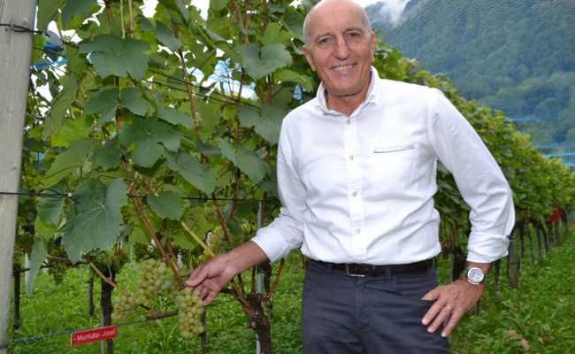 Markus Hardegger hat 33 Jahre den Rebbau im Kanton St. Gallen begleitet