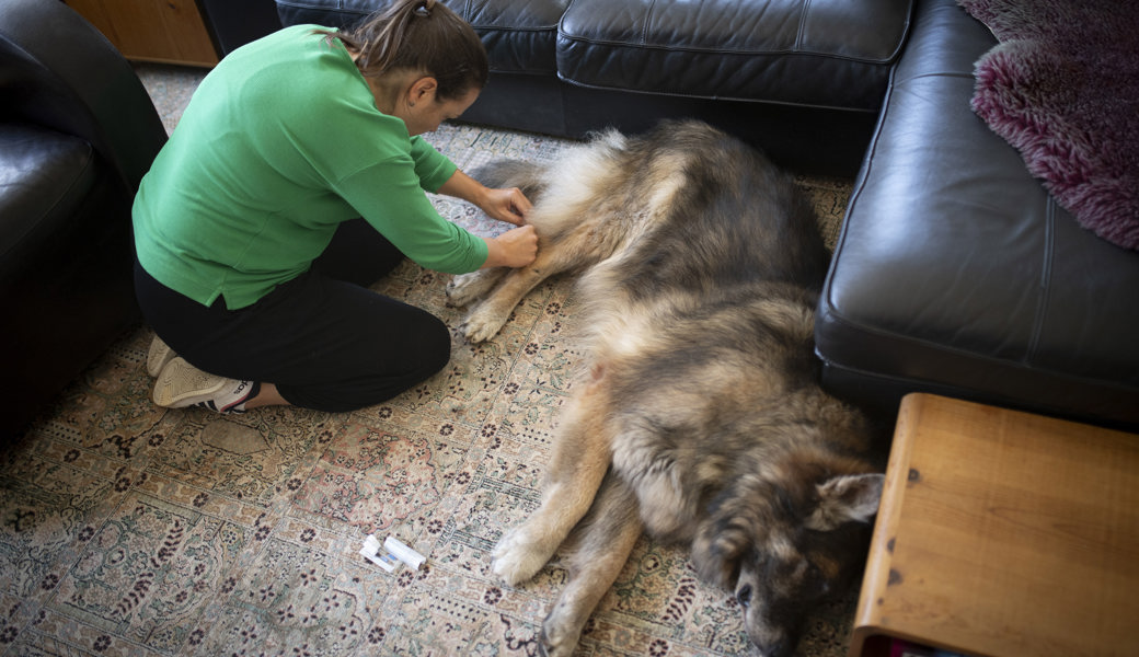 Annette Krieg behandelt ihre Patienten unter anderem mit Akupunktur.