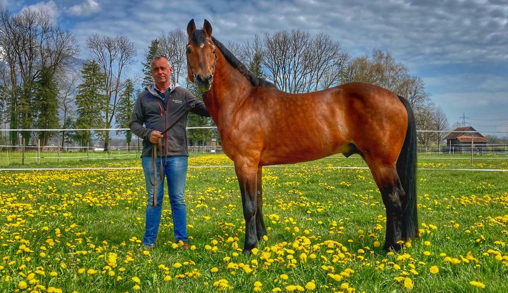 Hengsthalter Leo Risch mit dem Freiberger Nejack.