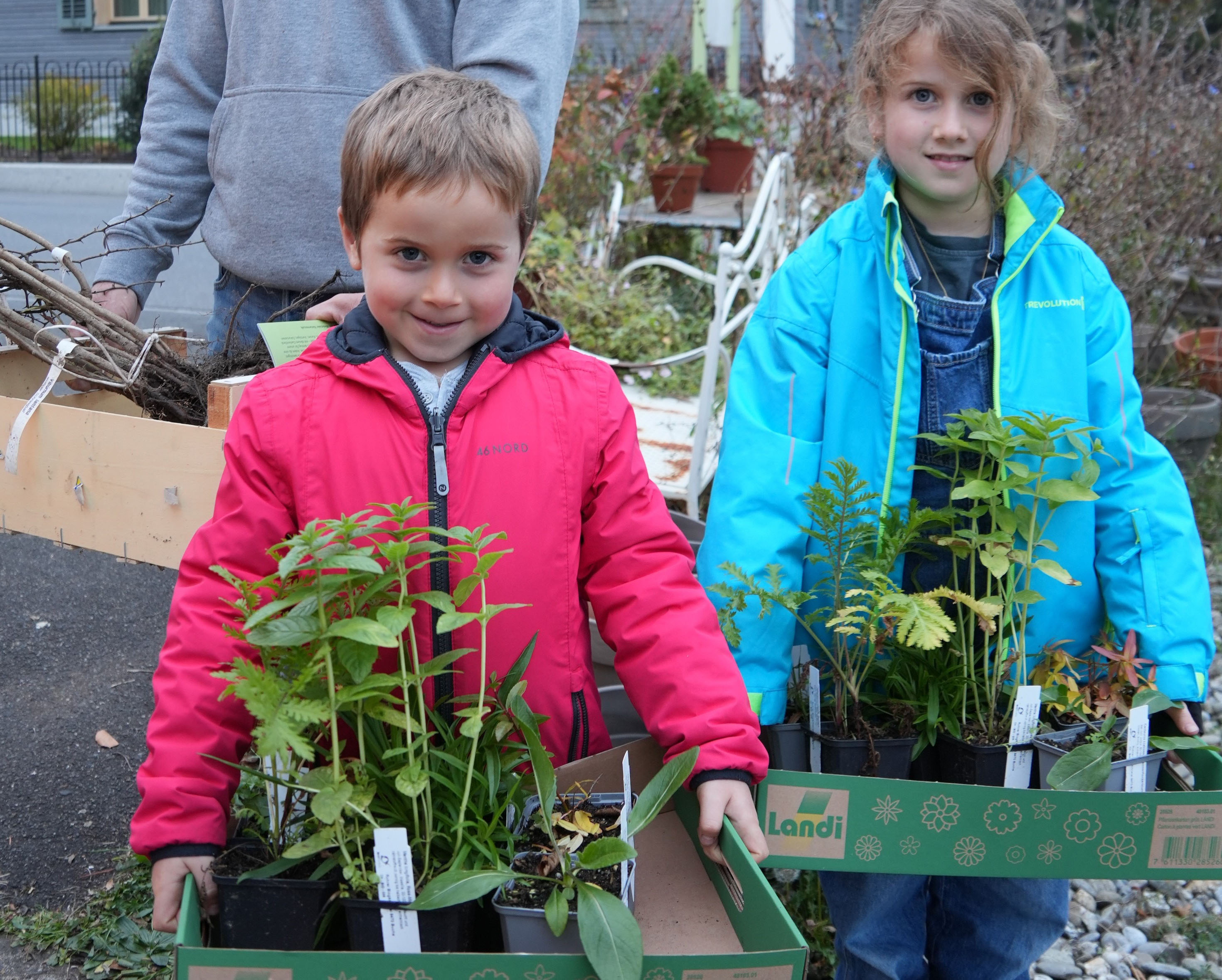 1300 Blumen und Sträucher: Zehnte Pro Riet Pflanzenaktion lockt 140 Teilnehmende an