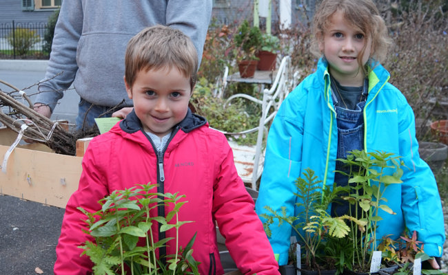 1300 Blumen und Sträucher: Zehnte Pro Riet Pflanzenaktion lockt 140 Teilnehmende an