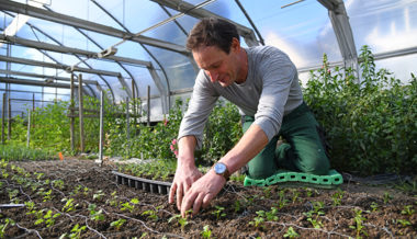 Wenn die Natur erwacht: Die Bio-Gärtnerei Rohrer ist bereit für den Start in die Gartensaison