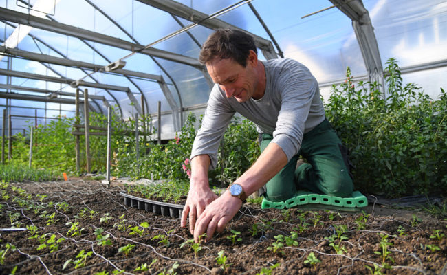Wenn die Natur erwacht: Die Bio-Gärtnerei Rohrer ist bereit für den Start in die Gartensaison