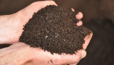 Gartentipp: Kompost spendet Leben