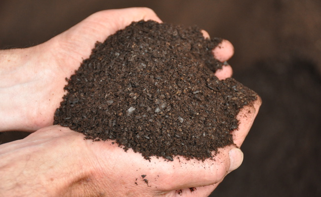 Gartentipp: Kompost spendet Leben