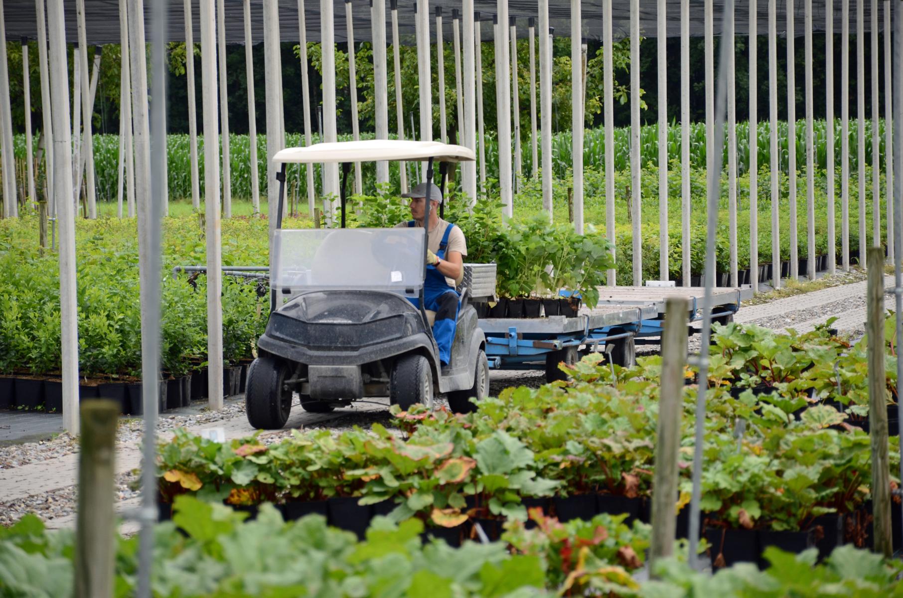 Hier wird gezaubert: Die Lubera AG gibt Einblick in ihr «Naturlabor»