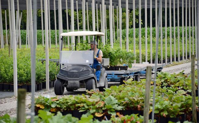 Hier wird gezaubert: Die Lubera AG gibt Einblick in ihr «Naturlabor»