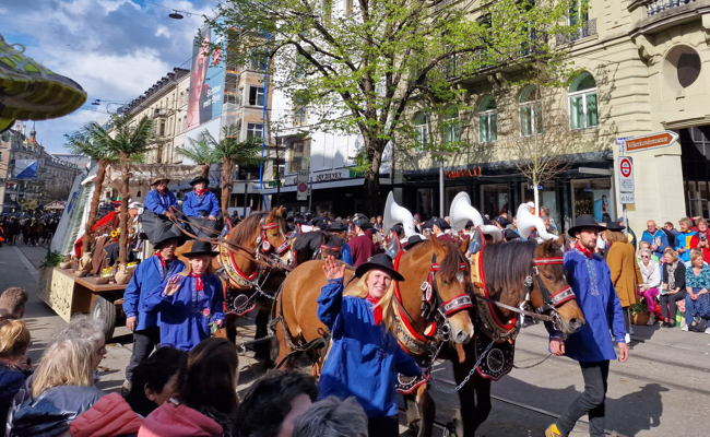 «Grösster Lohn für harte Arbeit»: Mit dem Vierspänner am Sechseläuten