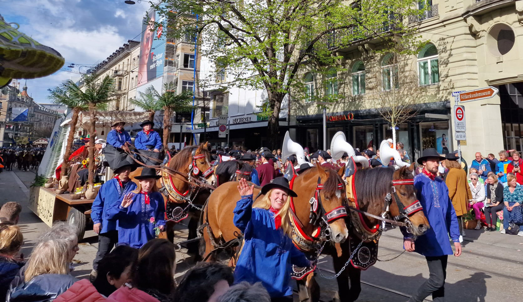 Das Vierergespann von Heike Tinner zog den Wagen der Zunft zum Kämbel.