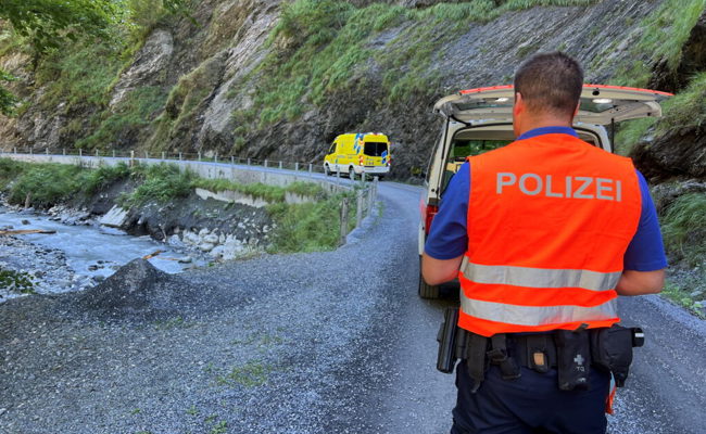 Mutter und Kind von herabfallendem Baumstamm tödlich verletzt