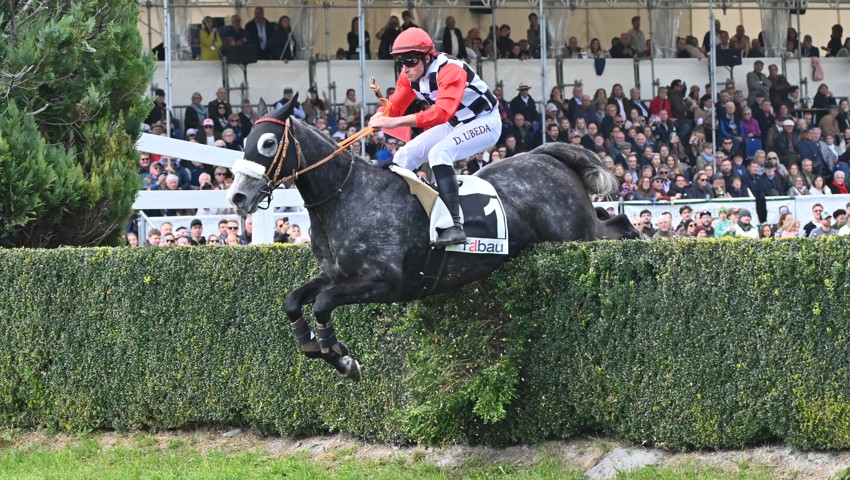 Klarer Sieg: Dylan Ubeda gewinnt mit Falko Des Flos den Preis der Eichengut Maienfeld AG, das wichtigste Jagdrennen des Tages.