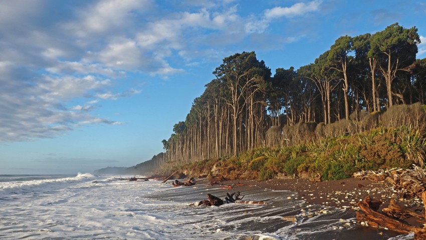Bruce Bay an der West Coast.