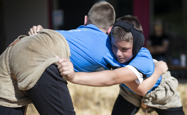 Kämpfen und schwitzen auf der Alp: Die kleinen Könige des Sägemehls